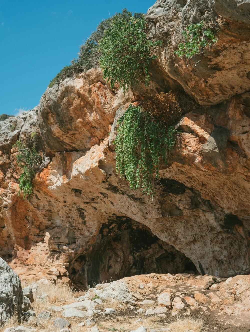 dorien-beernink-B73xinX_Mcw-unsplash